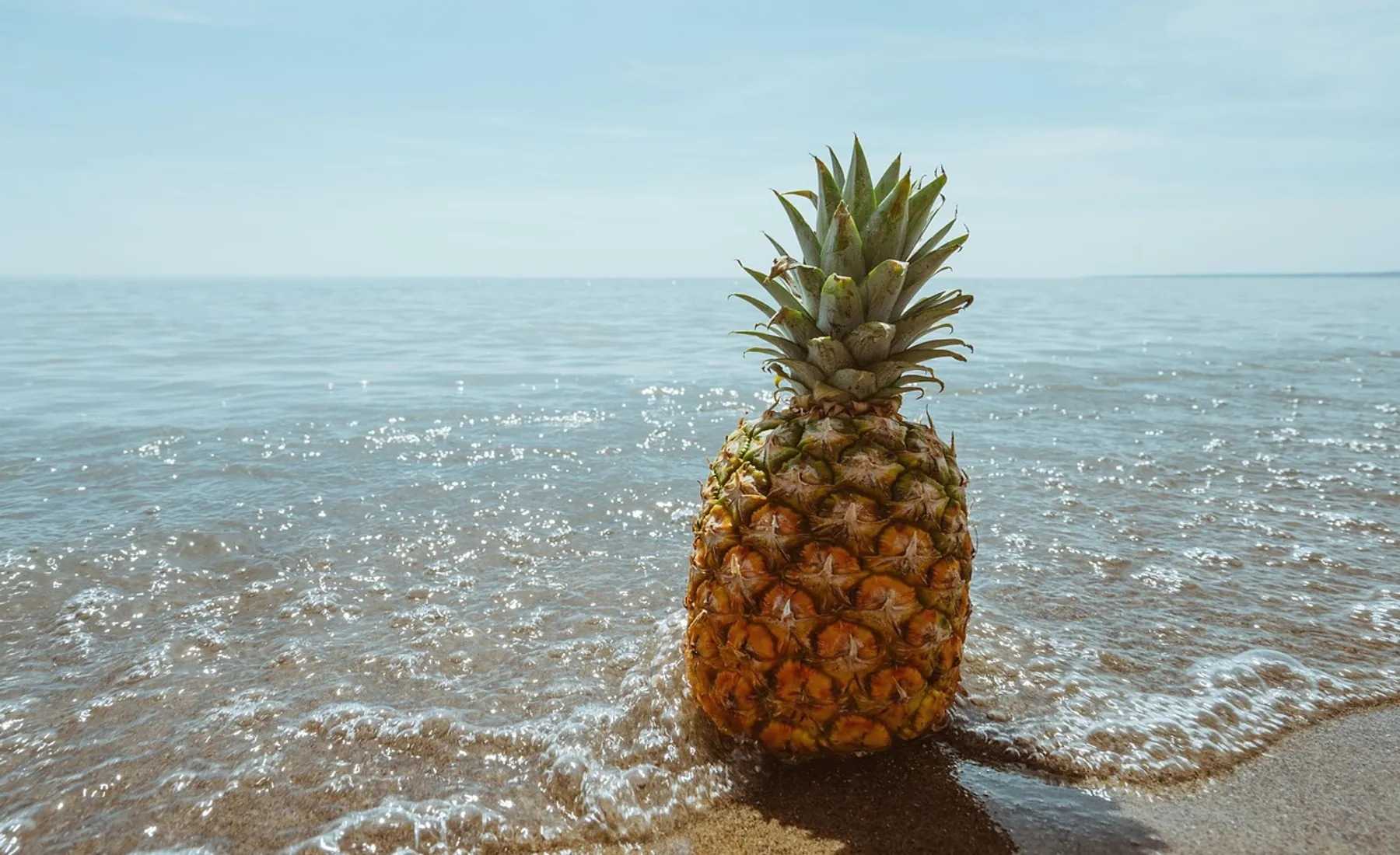Pineapple, beach and tropical